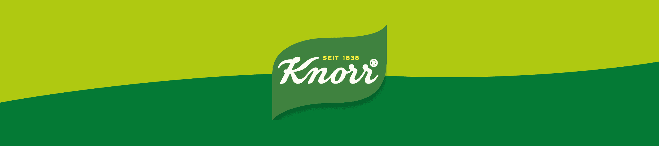 Knorr