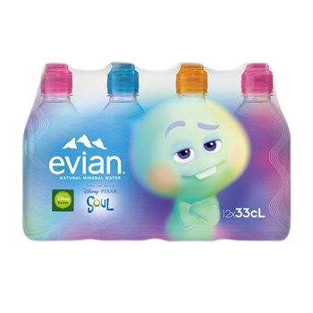 Eaux minérale Evian 12x33cl